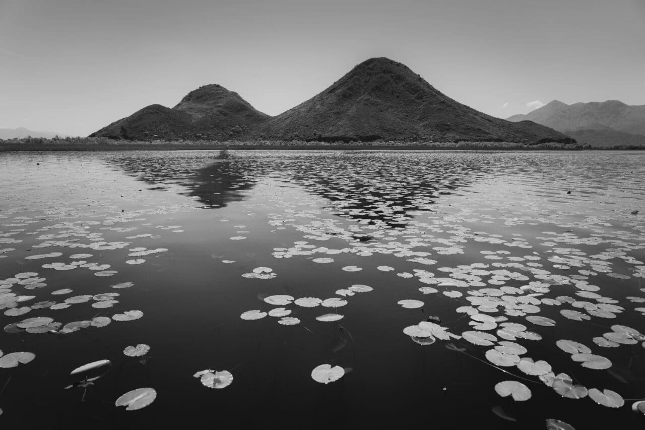 Colors in Photography, black