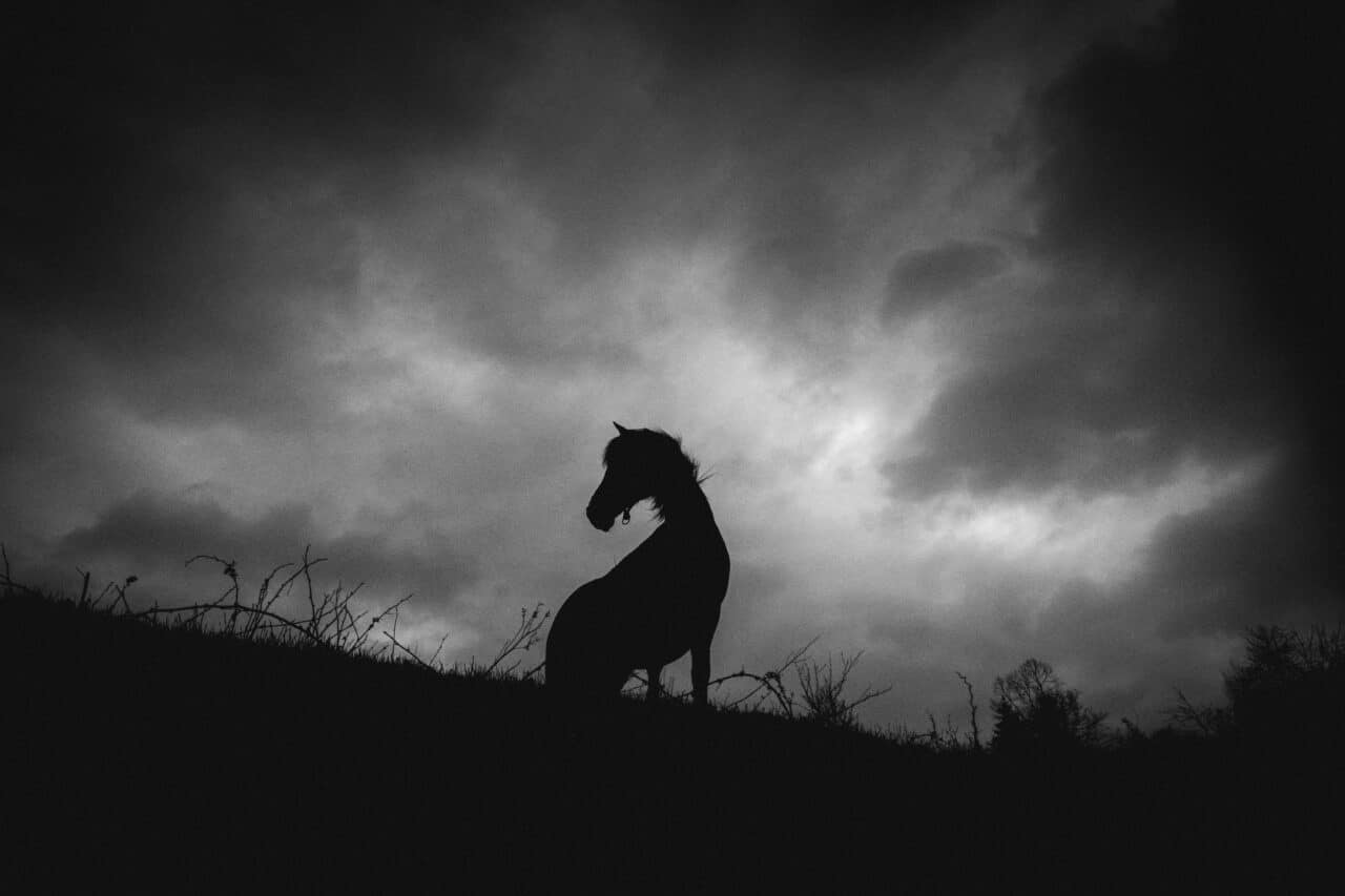 Colors in Photography, black