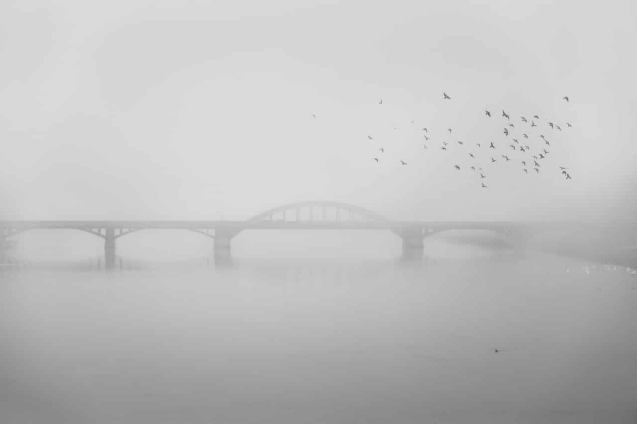 Colors in Photography: White