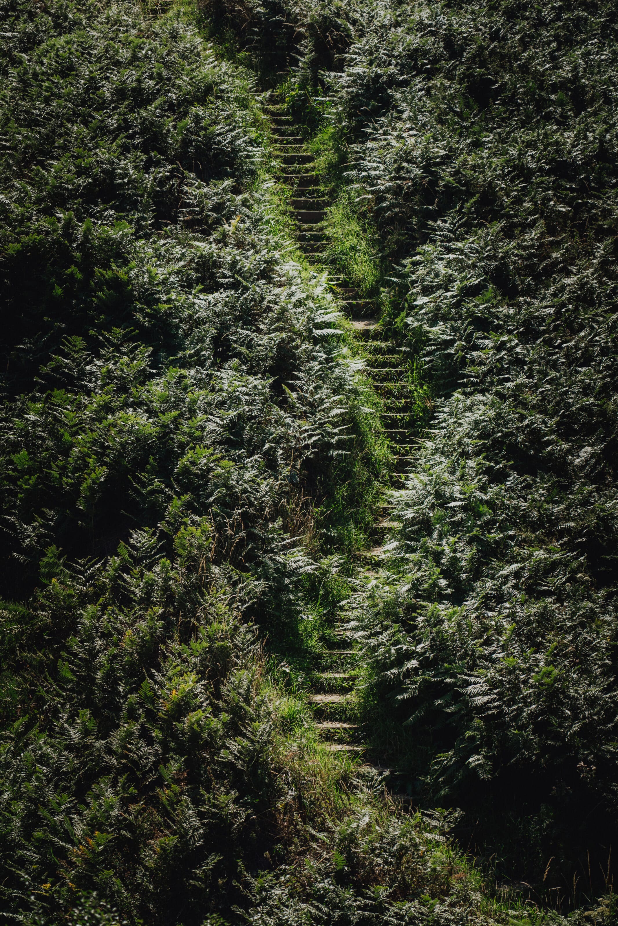 When To Shoot in Landscape and When To Shoot in Portrait Orientation