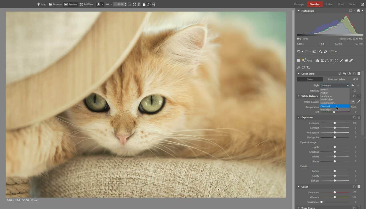 Low-Contrast Photography, color style