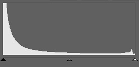 Crossing the line in the shadows – some detail has been lost in the darkest parts of this photo, and so the histogram shows it as underexposed. But in reality it’s an interesting artistic image. It makes you want to focus on just the pelican and the water drops flying off of its feathers. So even though it really is underexposed, there’s nothing wrong with it from a creative standpoint.