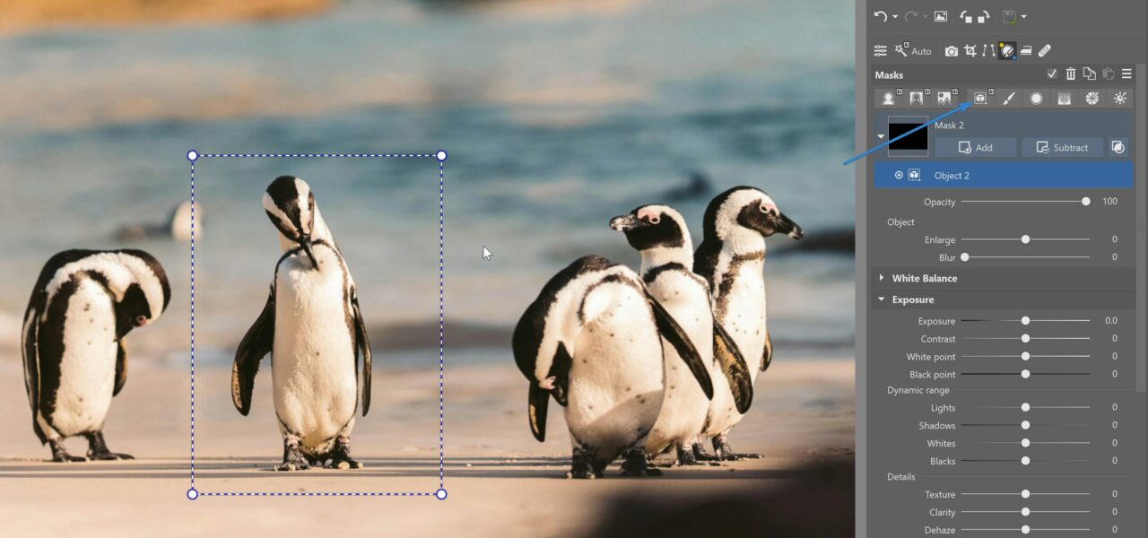 AI masks in Zoner Studio: select object