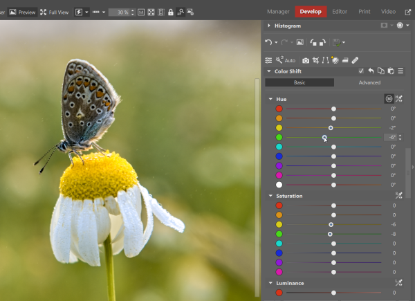 How to Edit RAW Files: Color Shift