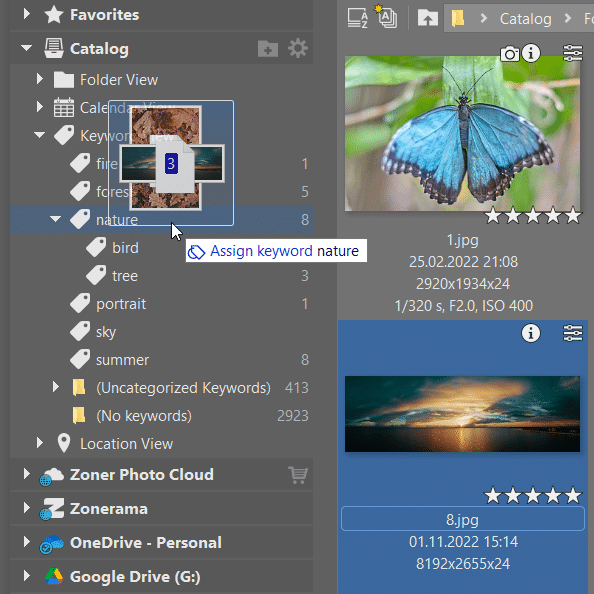 Part 2 How To Organize Your Photos, keywords