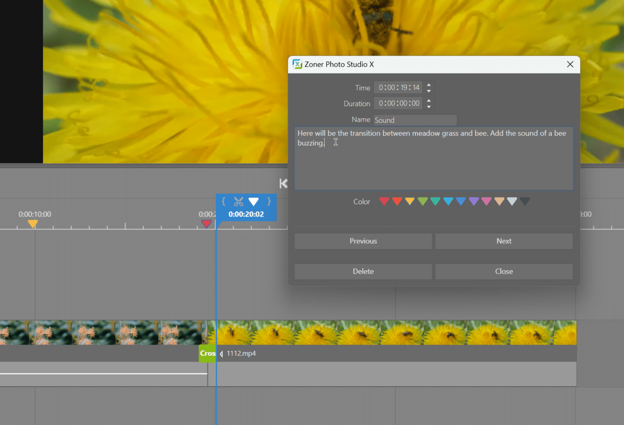 merker settings in video module in Zoner Studio