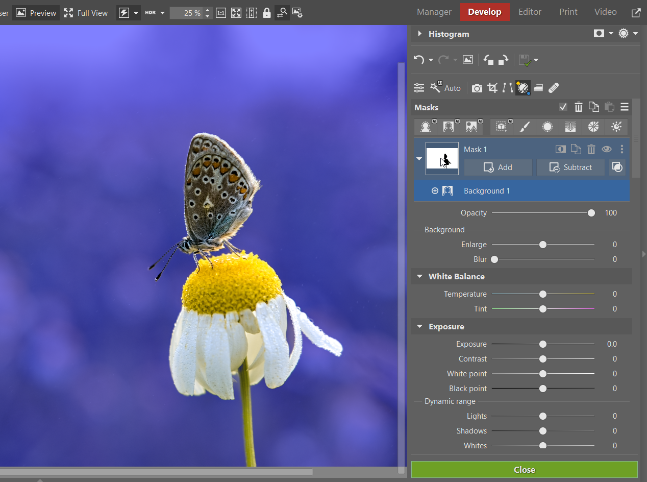 How to Edit RAW Files: AI mask background