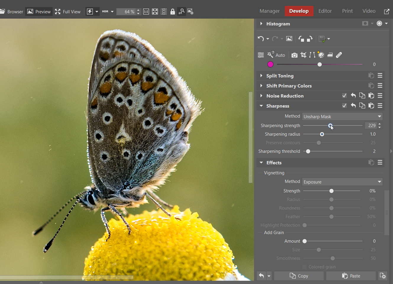 How to Edit RAW Files: Sharpening